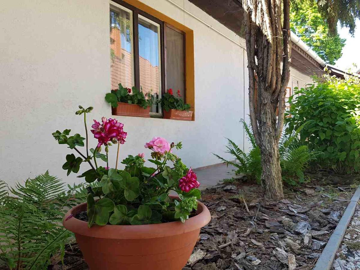 Kuti Vendeghaz Hotel Bakonykuti Екстериор снимка