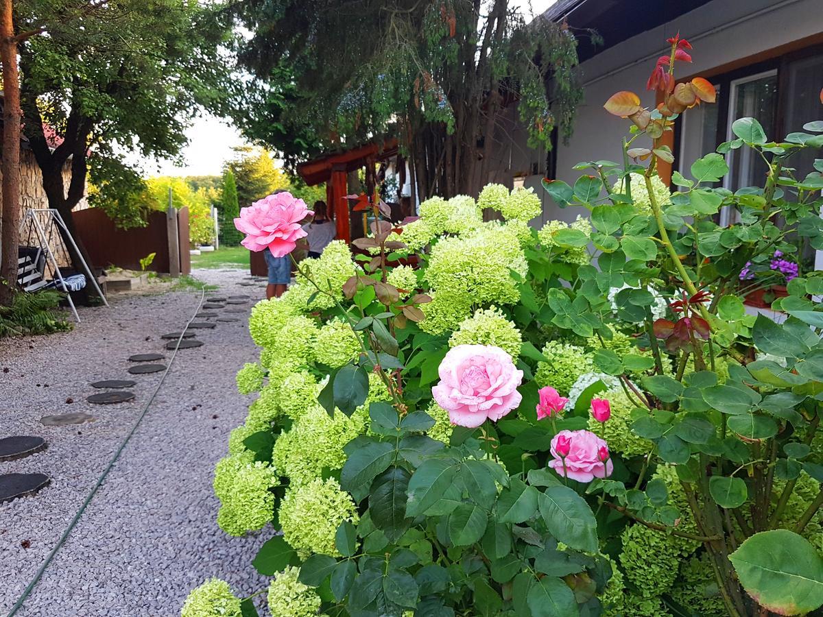 Kuti Vendeghaz Hotel Bakonykuti Екстериор снимка