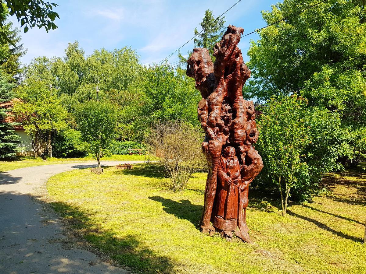 Kuti Vendeghaz Hotel Bakonykuti Екстериор снимка