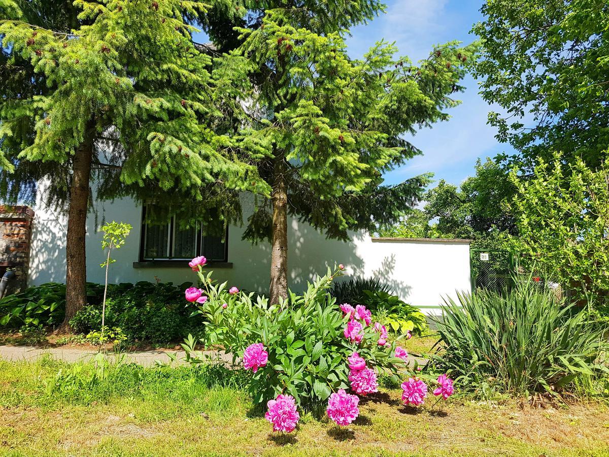 Kuti Vendeghaz Hotel Bakonykuti Екстериор снимка